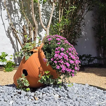 Διαμέρισμα Salt Tivoli *